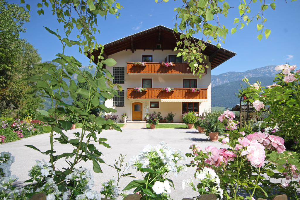 Rosspointnerhof Ξενοδοχείο Haus im Ennstal Εξωτερικό φωτογραφία
